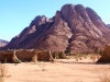 mtsinai5