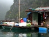 halongbay28