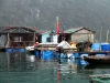halongbay29